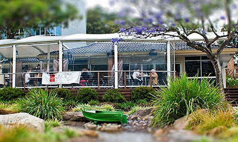 Byblos Restaurant & Bar - Accommodation Sunshine Coast 5
