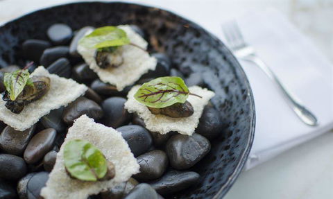 V Series - Accommodation Sunshine Coast 11