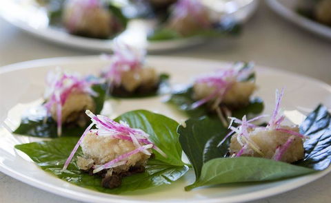 JAM - Accommodation Sunshine Coast 26