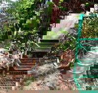 Larrimah Pink Panther Hotel - Accommodation Sunshine Coast