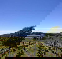 Barringwood Vineyard and Cellar Door Restaurant - Accommodation Sunshine Coast