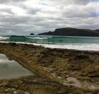 Bruny Island Berry Farm - Accommodation Sunshine Coast