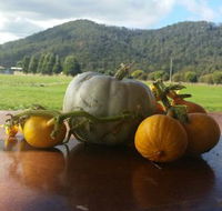 Mount Gnomon Farm - Accommodation Sunshine Coast
