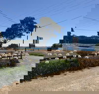 Penguin  Pardalote Coffee House - Accommodation Sunshine Coast