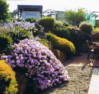 Pipers River Tea House and Crafts - Accommodation Sunshine Coast