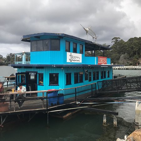 Skippers Floating Eatery - Accommodation Sunshine Coast 0