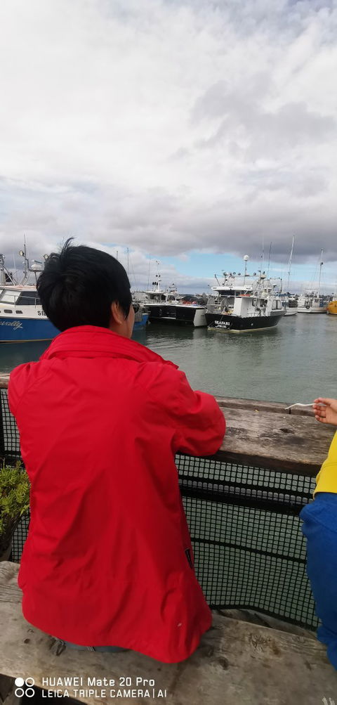 Skippers Floating Eatery - Accommodation Sunshine Coast 6