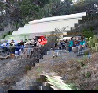 The Bay Fish - Accommodation Sunshine Coast