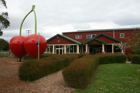 The Cherry Shed - Accommodation Sunshine Coast 0