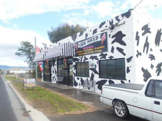 Avoca TAS Accommodation Sunshine Coast