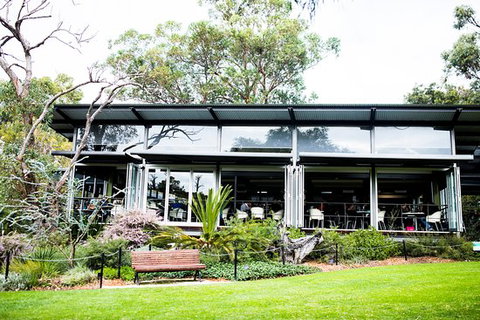 Zamia Cafe - Accommodation Sunshine Coast 0