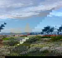 Coffee Cat - Accommodation Sunshine Coast