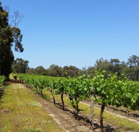 Stringybark Cottage Winery  Restaurant - Accommodation Sunshine Coast