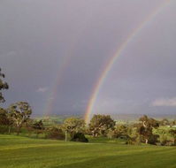 Tenafeate Creek Winery - Accommodation Sunshine Coast