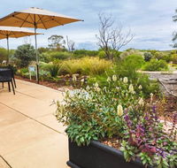 Arid Lands Botanic Garden Cafe - Accommodation Sunshine Coast