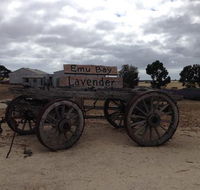 Emu Bay Lavender - Accommodation Sunshine Coast