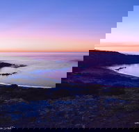 Howling Dog Tavern - Accommodation Sunshine Coast