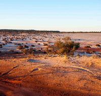 Mozie's Truckstop  Diner - Accommodation Sunshine Coast