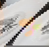 Oliver's Bar  Bistro - Accommodation Sunshine Coast