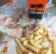 Coolabah Tree Cafe - Accommodation Sunshine Coast