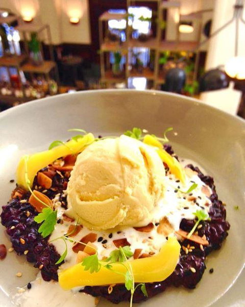 Apple Daily Bar & Eating House - Accommodation Sunshine Coast 4