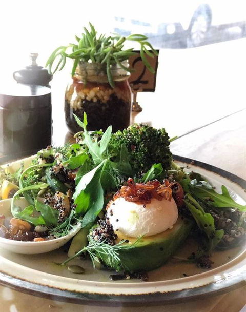 Grand Ridge Brewery Restaurant And Bar - Accommodation Sunshine Coast 4