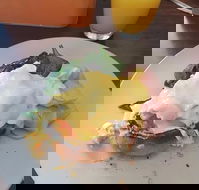 Stock Bar  Grill - Accommodation Sunshine Coast