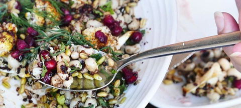 Toastface Grillah - Accommodation Sunshine Coast 0