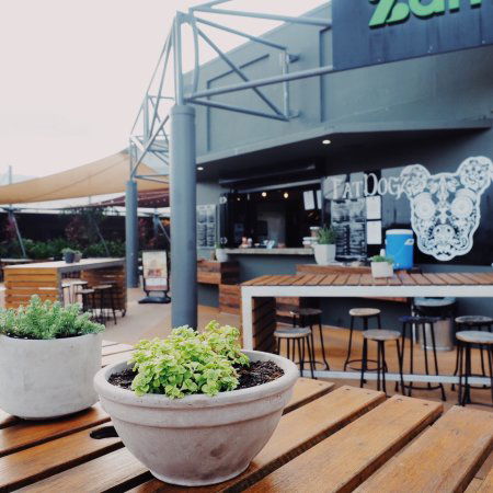 Fat Dogz - Accommodation Sunshine Coast 0