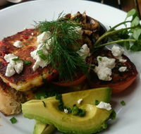 Green Turtle Cafe  Bar - Accommodation Sunshine Coast