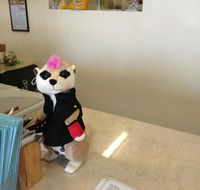 One Thai Cuisine  Noodle Bar - Accommodation Sunshine Coast