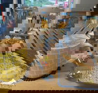 Spring Eats and Treats - Accommodation Sunshine Coast