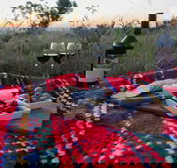 Bunnyconnellen Olive Grove  Vineyard - Accommodation Sunshine Coast
