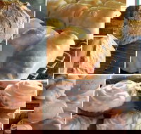 Elegant Emu - Accommodation Sunshine Coast