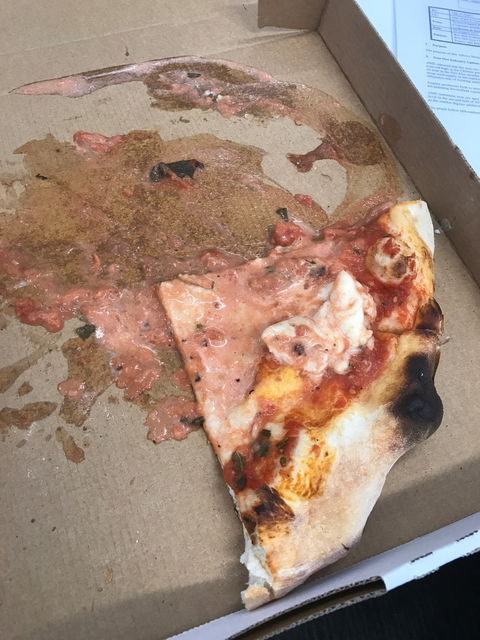 SCUGNIZZO - Accommodation Sunshine Coast 3