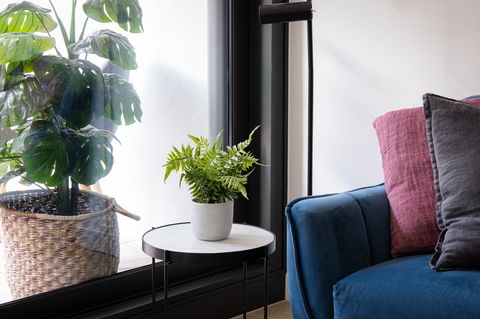 Urban Rest-Home Richmond - Accommodation Sunshine Coast 13