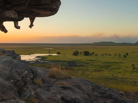 Kakadu Lodge Cooinda, mngd by Accor - Accommodation Sunshine Coast 16