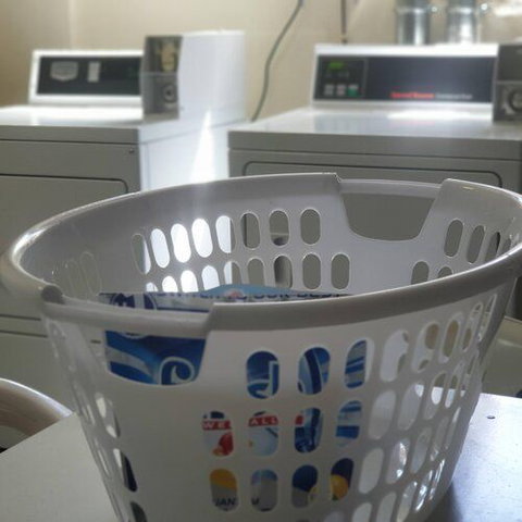 City Waters - Accommodation Sunshine Coast 17