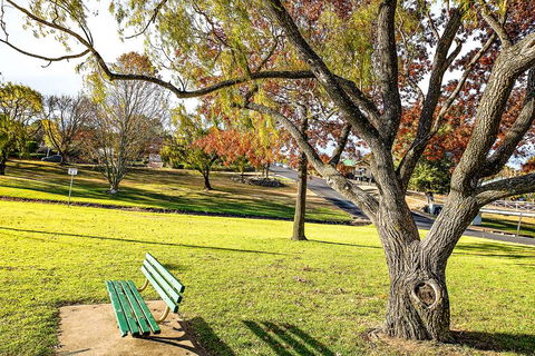 Comfort Inn City Centre Armidale - Accommodation Sunshine Coast 17