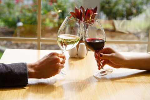 Best Western Plus Hovell Tree Inn - Accommodation Sunshine Coast 9