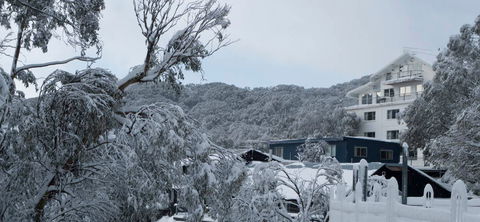 Attunga Alpine Lodge - Accommodation Sunshine Coast 0