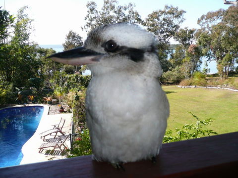 Yarrandabbi Dreaming Boutique B&B - Accommodation Sunshine Coast 2