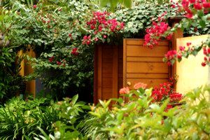 Pink Flamingo - Accommodation Sunshine Coast 0