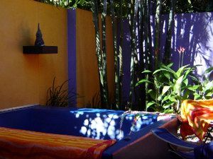 Pink Flamingo - Accommodation Sunshine Coast 1