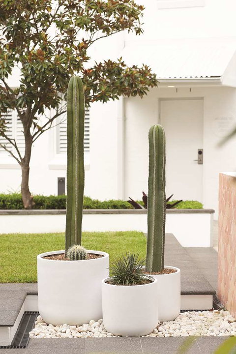 Adina Apartment Hotel Chippendale - Accommodation Sunshine Coast 0