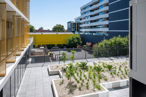 Oros Plus Hotel - Accommodation Sunshine Coast 2