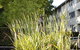 University House - ANU - thumb 11