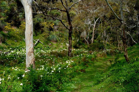 Lure Bed And Breakfast - Accommodation Sunshine Coast 17