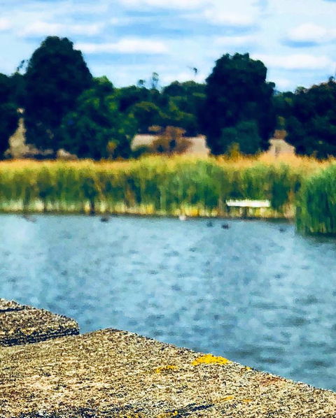 The Lake House Retreat - Accommodation Sunshine Coast 21