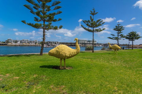 Port Adelaide Harbourside House - Accommodation Sunshine Coast 11